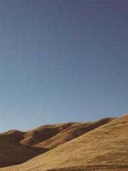 The ambiguous and sw The ambiguous and sw