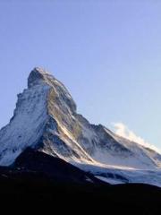 The Return of the Go The Return of the Go