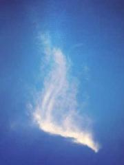 King of Nine Profoun