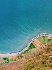 I have seven fairy g