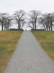 Mr. Shen, overdue an Mr. Shen, overdue an