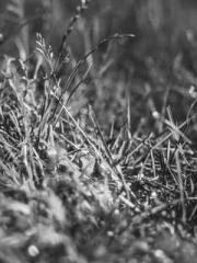 Meng Jinyu Gu Jingxi Meng Jinyu Gu Jingxi