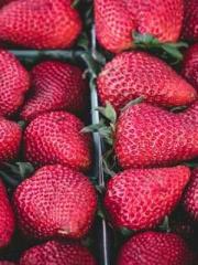 Super Dimensional Me