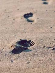 Lu Wanwan Li Jingche