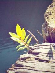 Love and him lt;lt;l