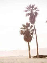 The Heavenly Eye Gho