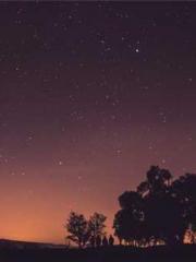 A Spicy Wife from th