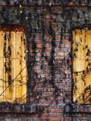 Unbound by any rules