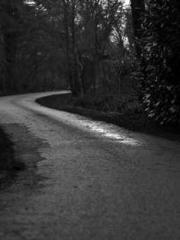 The Wife of My Heart