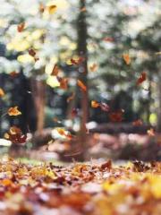 Li Qingqing and Zhao