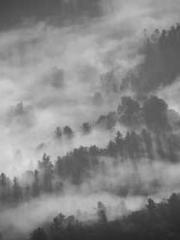 Become a big shot in