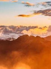 My pets are all amaz