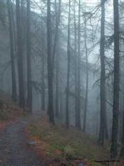 Rebirth as a Court A