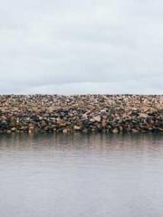 lt;Ye Qingyun, Tiany