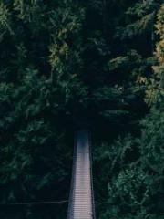 Grave Robbing: Openi