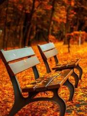 Reborn in the Apocal