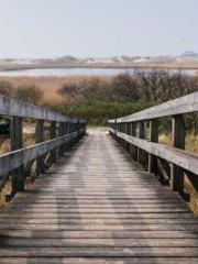 My rewards double au