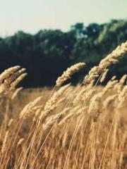 lt;lt;Know Green, Do