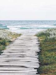 The Substitute Wife The Substitute Wife