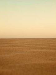 Cold-hearted Inkapos