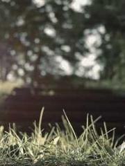 My husband is the Ki