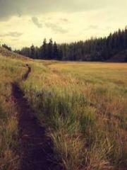 Bones-Eating Marriag