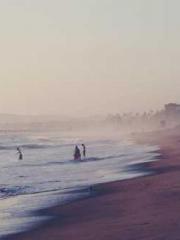 The Return of the Go