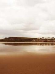 Cultivating My Empre