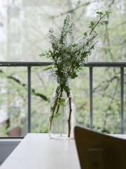 A Lifetime of Captiv