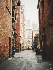 Yellow Spring Expres