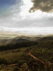 Shocking! This prota