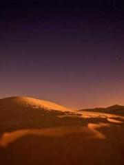 Peninsula Asteroid l