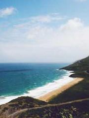 Become a big shot in