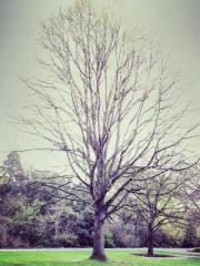 A Lifetime of Captiv A Lifetime of Captiv