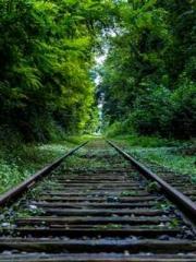 Spoil you in my arms