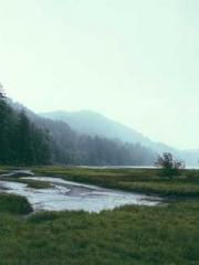 Billions of Blessing