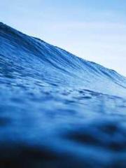 The Favorite Concubi