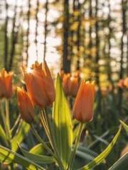 One Pregnancy, Two B