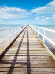 The young masterapos