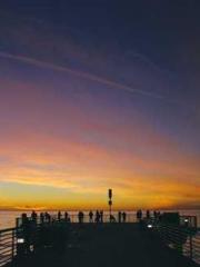 Becoming a solitary Becoming a solitary