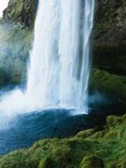 Ling Hao Qin Yuxin R