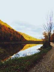 The Exclusive Daught