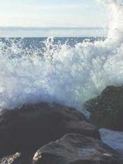 The Heavenly Physici The Heavenly Physici