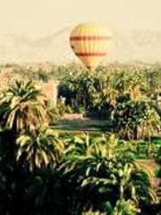 Wine, sex, money and