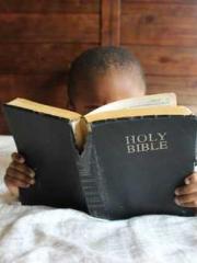 Fu Zi Mo Qin Luo Yan